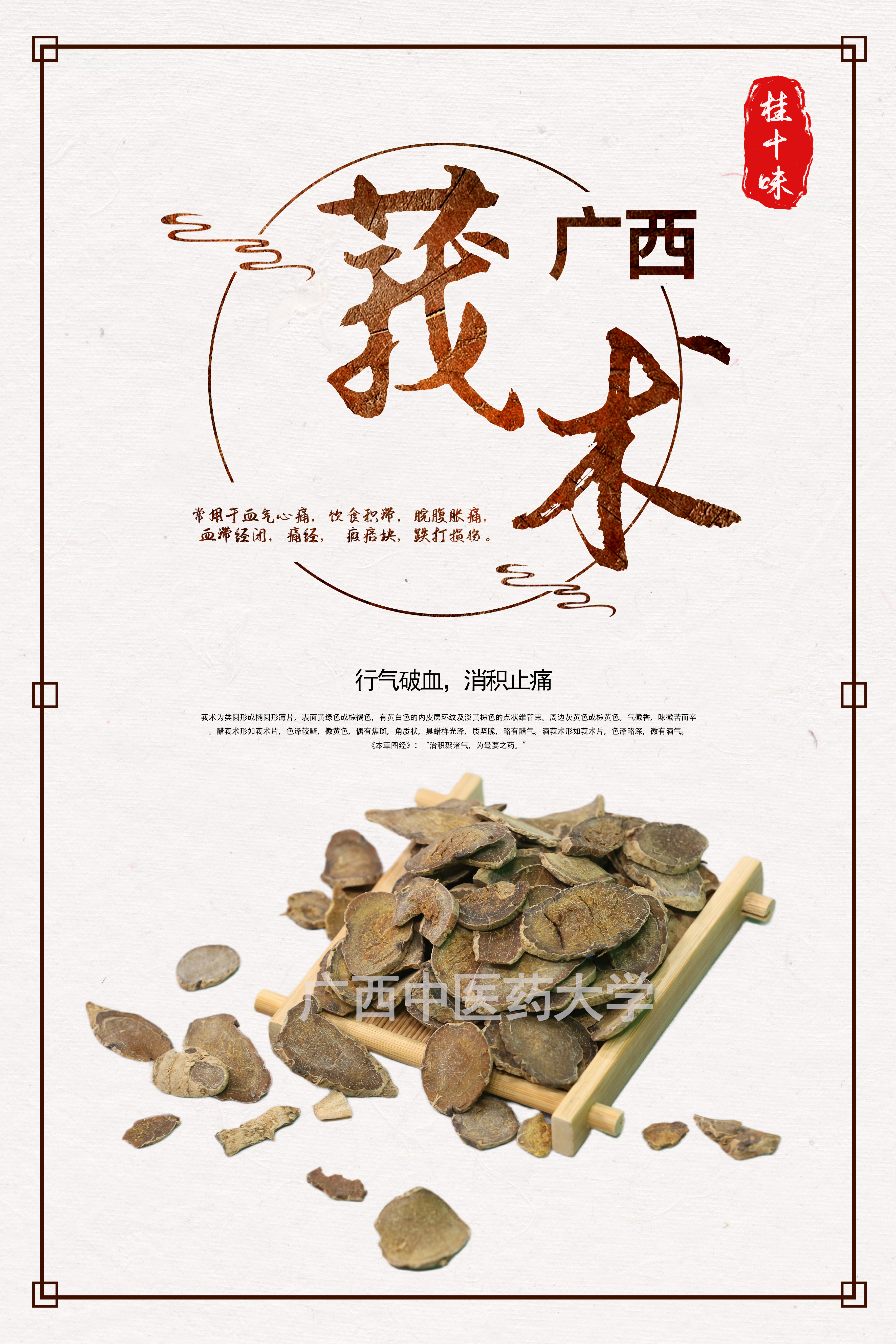 广西莪术