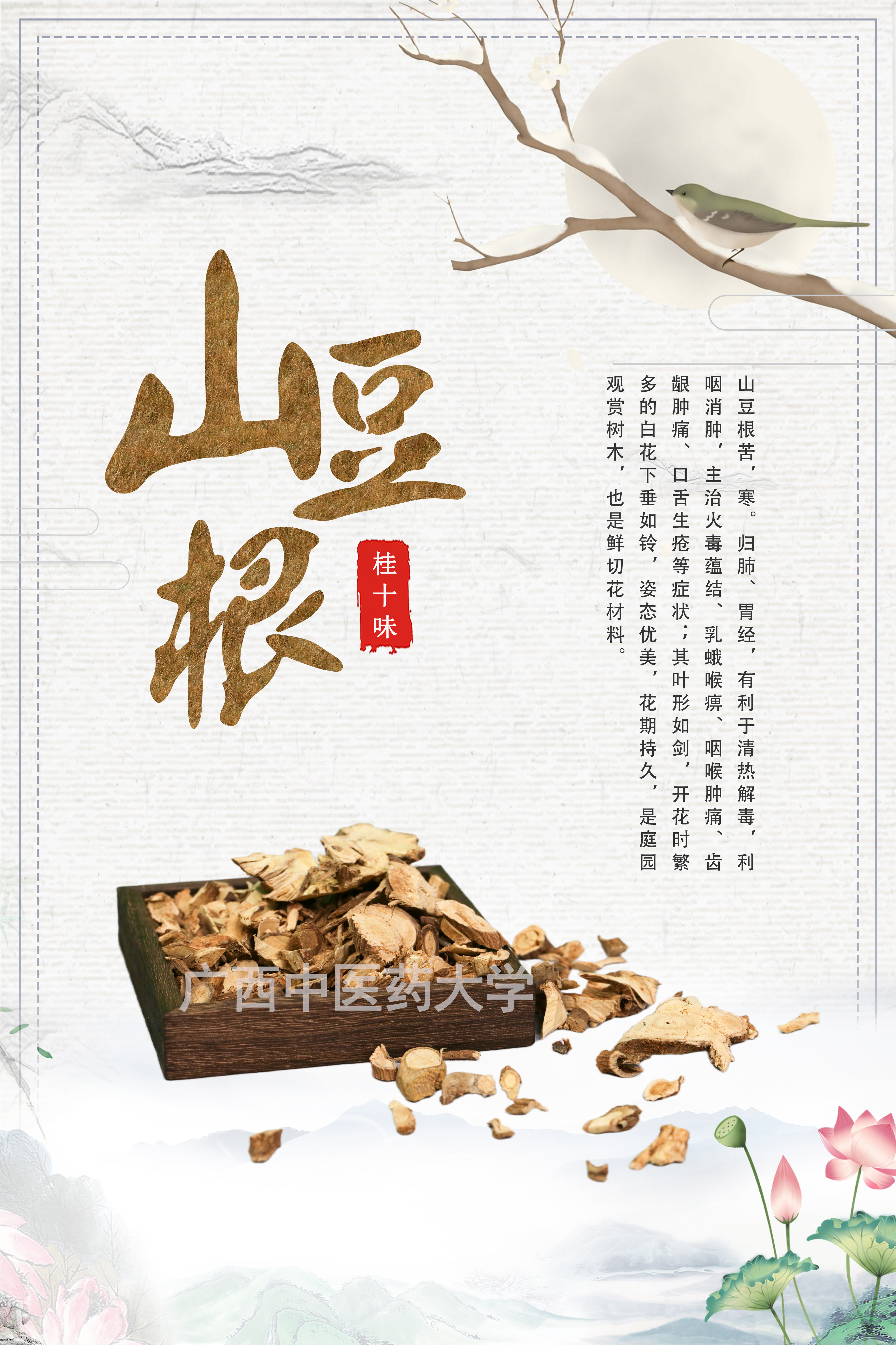 山豆根