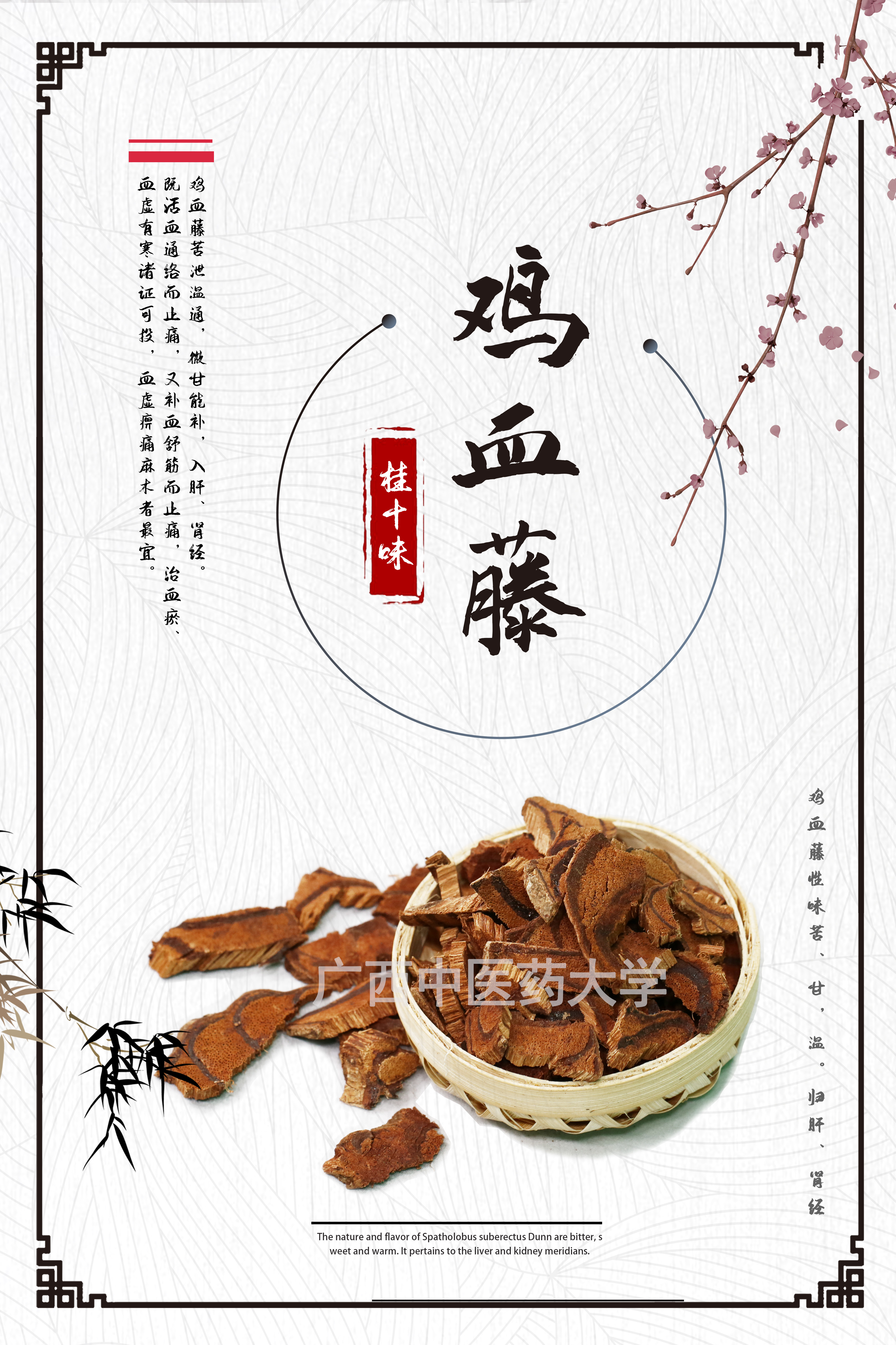 鸡血藤