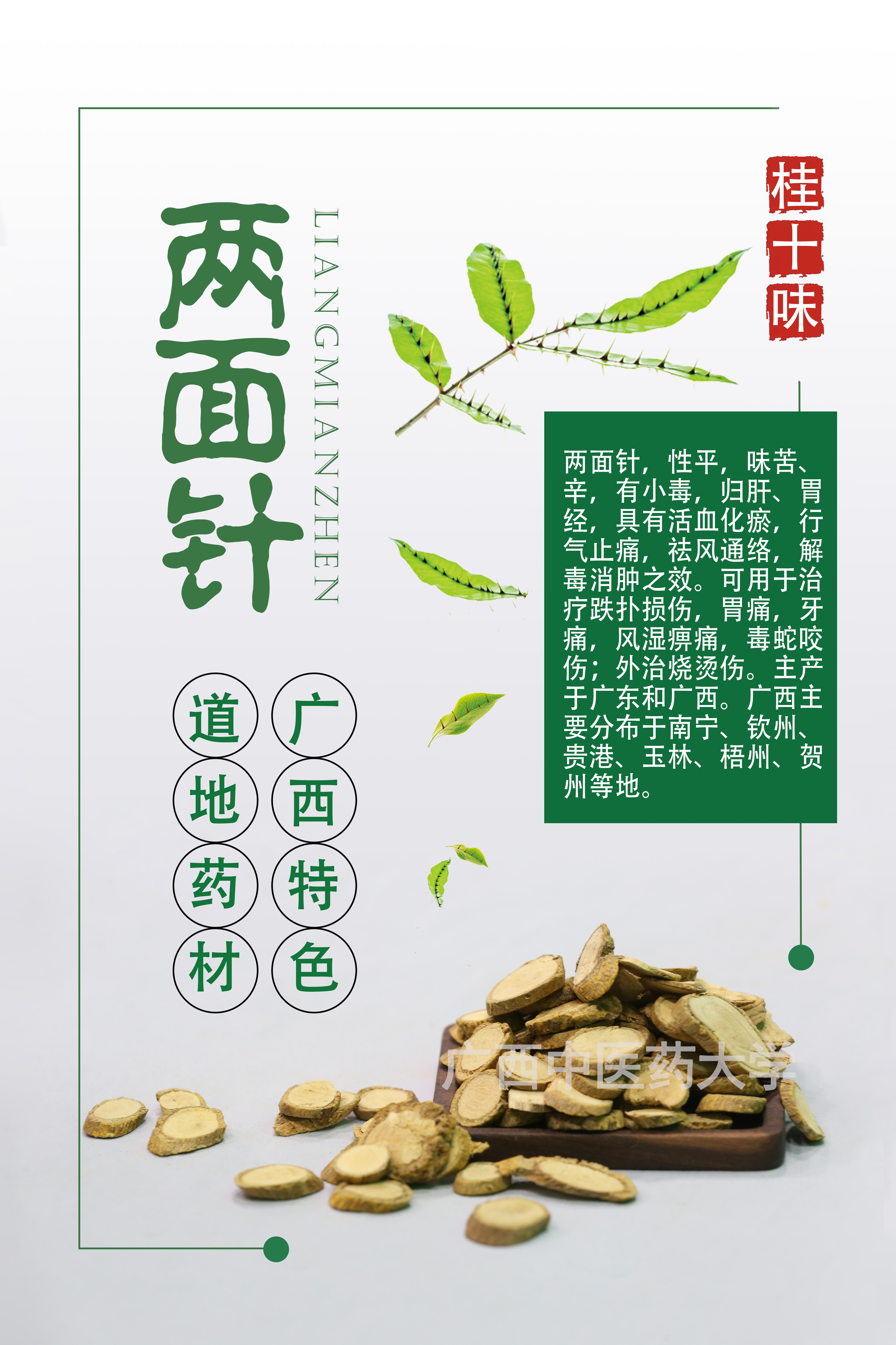 两面针